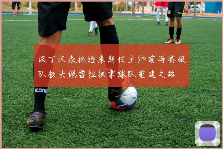 诺丁汉森林迎来新任主帅前海港狼队教头佩雷拉执掌球队重建之路